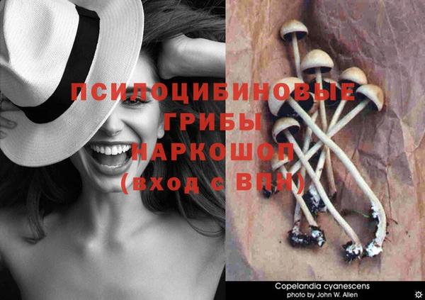 ECSTASY Аркадак