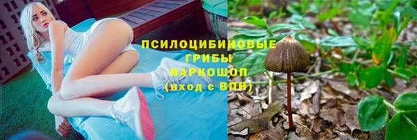 тгк Арсеньев