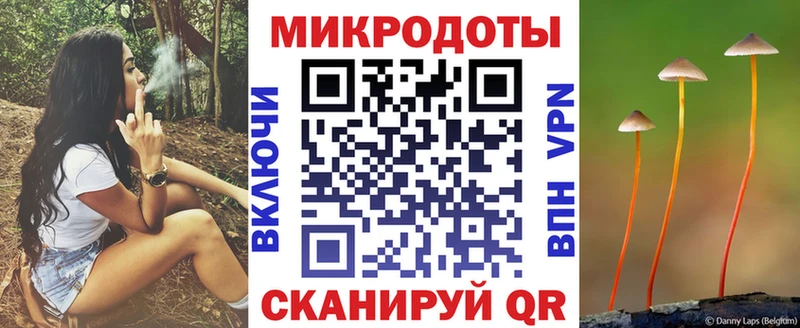 дарк нет Telegram  Полесск  Псилоцибиновые грибы мухоморы 
